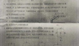 娱乐圈八卦爆料最新白鹿是真的吗,白鹿恋情真相，是真是假？
