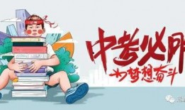 葫芦岛木栈道爆料最新消息,工程进度揭秘，美景即将呈现