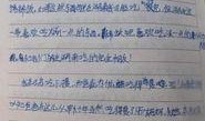 桃园日记最新爆料篇,揭秘幕后真相与惊人内幕