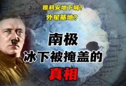 南极飞行员爆料视频最新,揭秘神秘南极飞行任务内幕